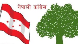 कांग्रेस केन्द्रीय कार्यसमितिको बैठक आज बस्दै
