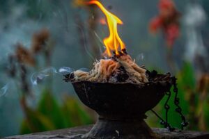 सन्दर्भ विश्व फोटोग्राफी दिवस (फोटो फिचर)