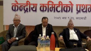 नेकपा एसले पदाधिकारीलाई पूर्णता दिने, कार्ययोजना बनाउने