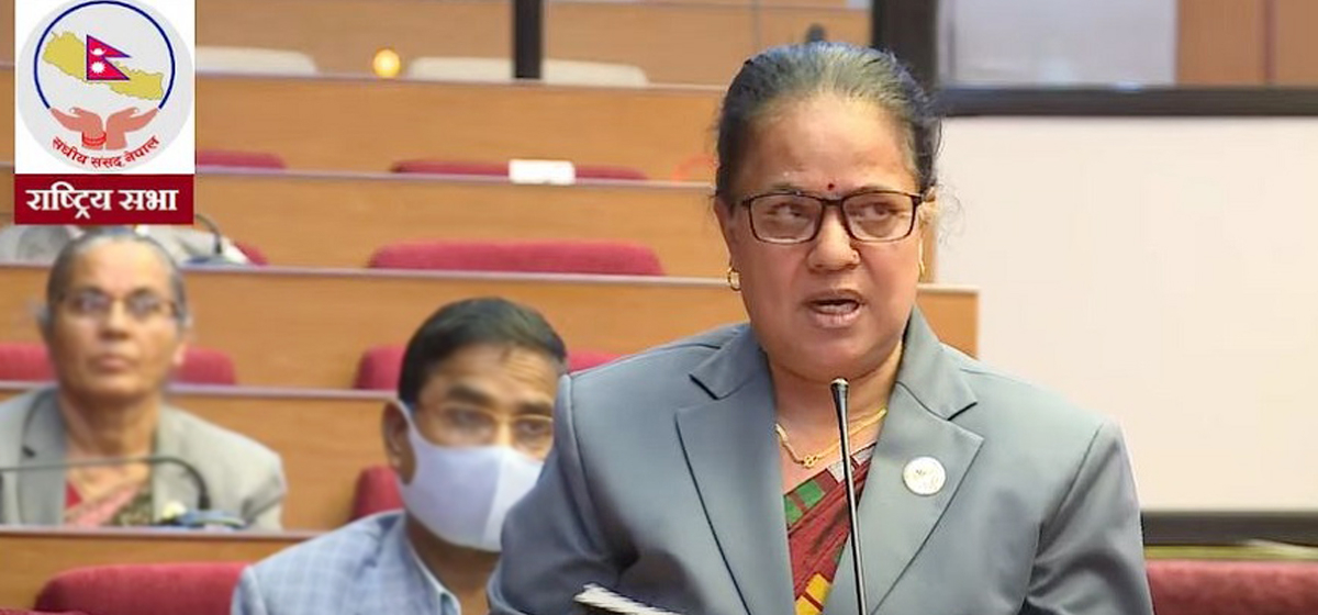 हवाई व्यवस्थापन सुधारका लागि विधेयक छिट्टै ल्याउन सांसदहरूको आग्रह