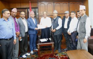 वस्ती विकास र पूर्वाधार निर्माणअघि भौगर्भिक अध्ययनको व्यवस्था मिलाउनुपर्छः प्रचण्ड