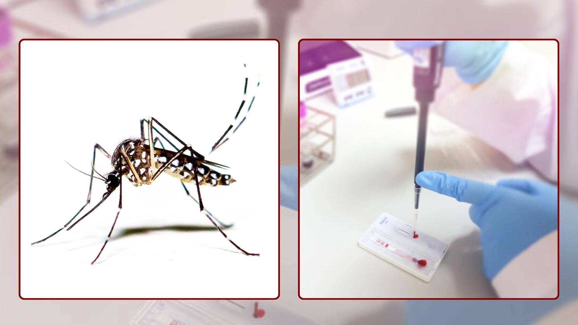 डेंगी सङ्क्रमितको संख्या १९ हजार नाघ्यो, नौं जनाको मृत्यु डेंगी सङ्क्रमितको संख्या १९ हजार नाघ्यो, नौं जनाको मृत्यु