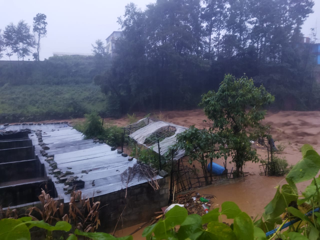बाढीपहिरो र डुबानमा परेर २१७ जनाको मृत्यु, २८ अझै बेपत्ता