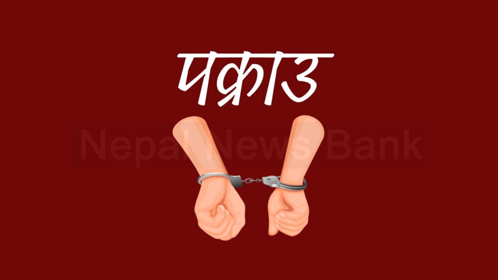 रोमानिया, युके स्लोभाकिया पठाइदिन्छु भन्दै रकम असुल्ने तीनजना पक्राउ
