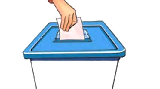 स्थानीय तहका रिक्त पदका लागि मतदान जारी