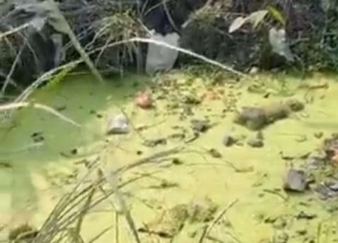 जितपुर सिमराबाट बेपत्ता बालकको शव फेला