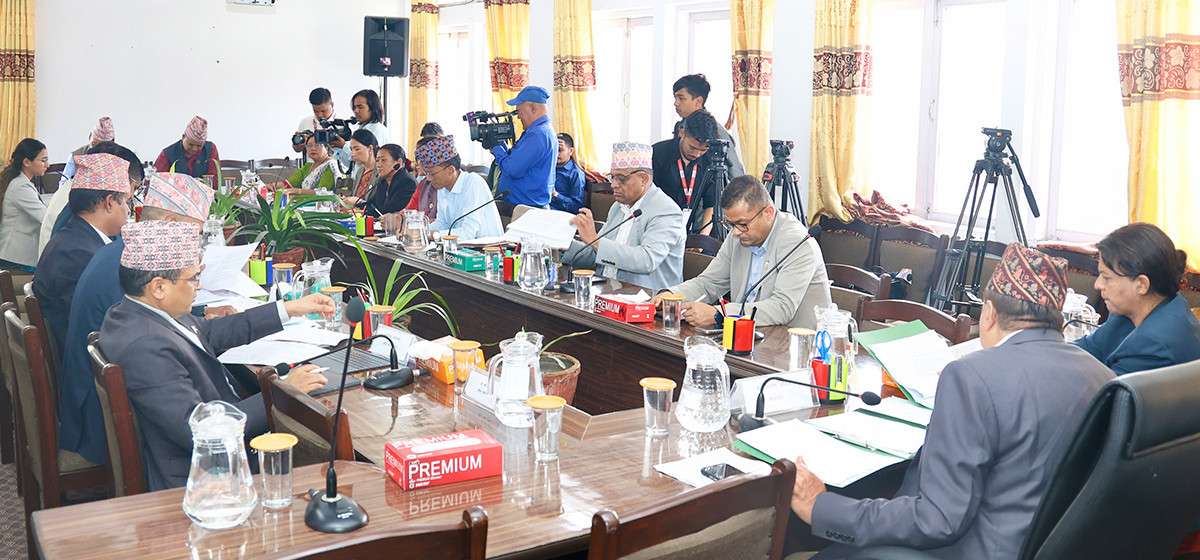 राष्ट्रिय सरोकार समितिको बैठक बस्दै