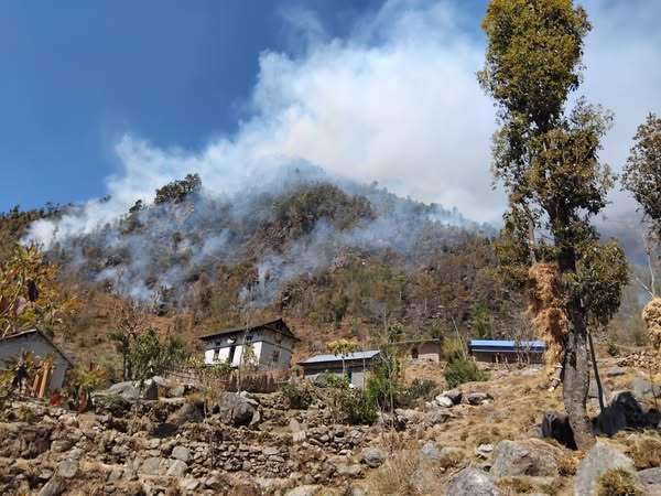 शैलुङको जङ्गलमा लागेको आगो नियन्त्रण बाहिर
