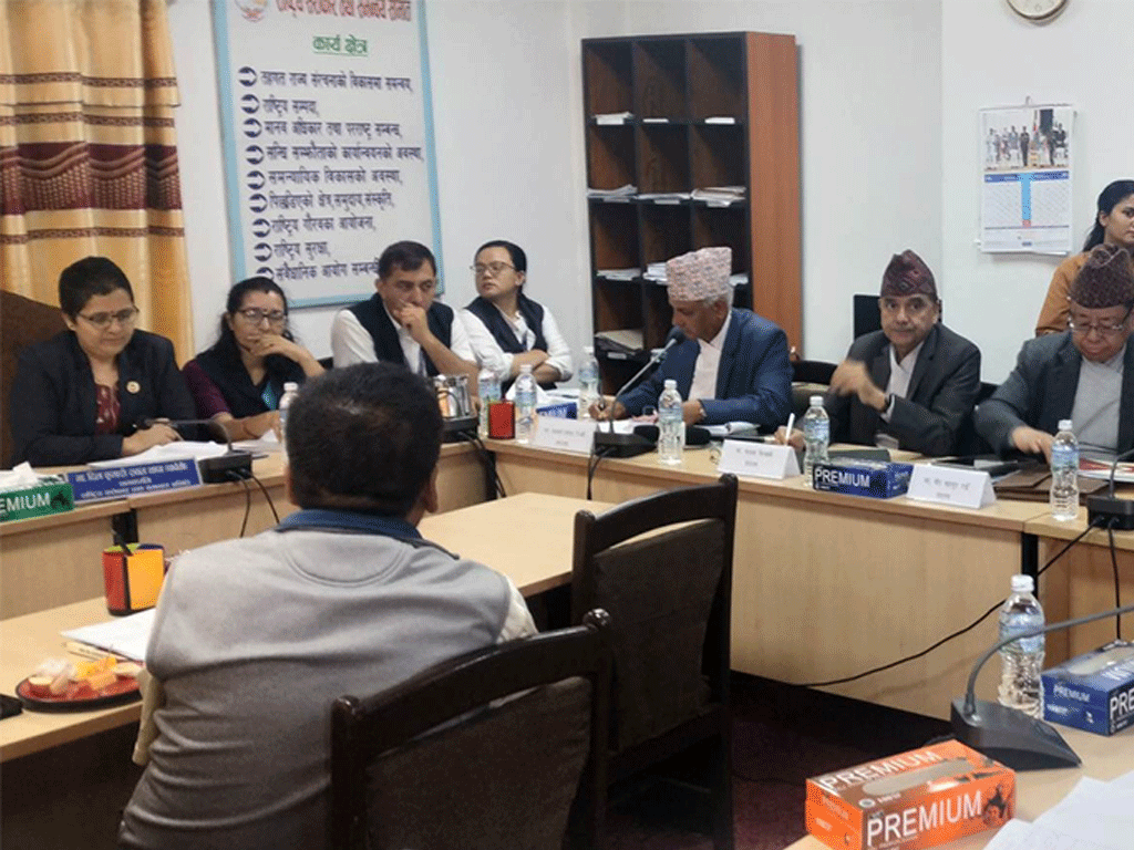 राष्ट्रिय सरोकार समितिको बैठक बस्दै