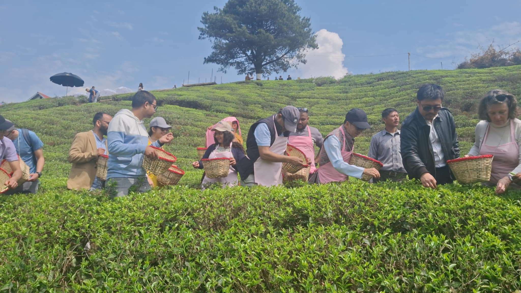 इलाममा चिया टिप्दै १५ देशका कूटनीतिज्ञहरु, ‘पर्यटन दूत’ बन्न मन्त्रीको आग्रह