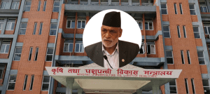 पुरानै कार्यक्रम निरन्तर, रासायनिक मलमा उही रकम