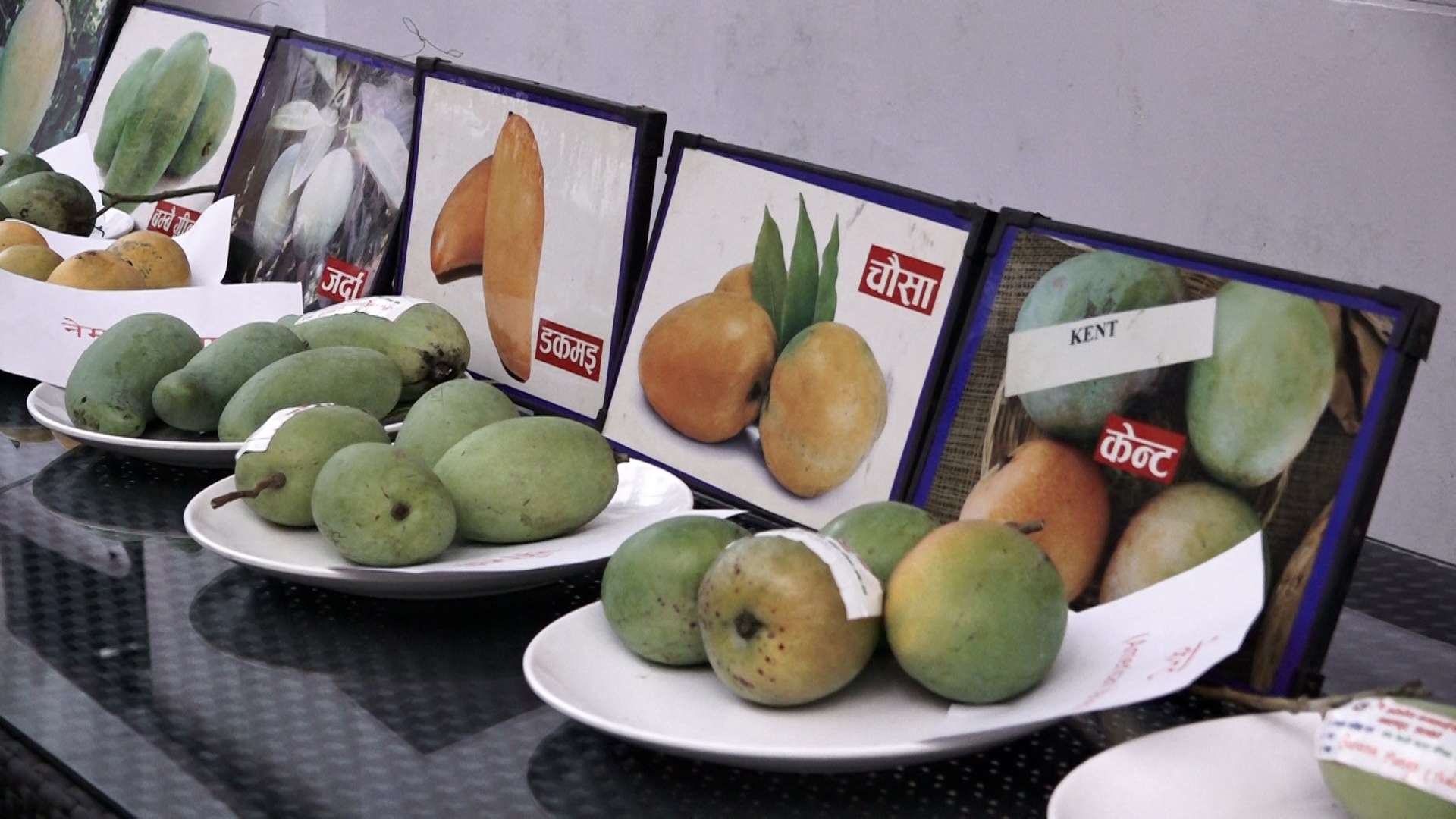 काठमाडौंमा आँप महोत्सव : प्रतिकिलो चार लाख पर्ने आँप प्रदर्शनमा काठमाडौंमा आँप महोत्सव : प्रतिकिलो चार लाख पर्ने आँप प्रदर्शनमा