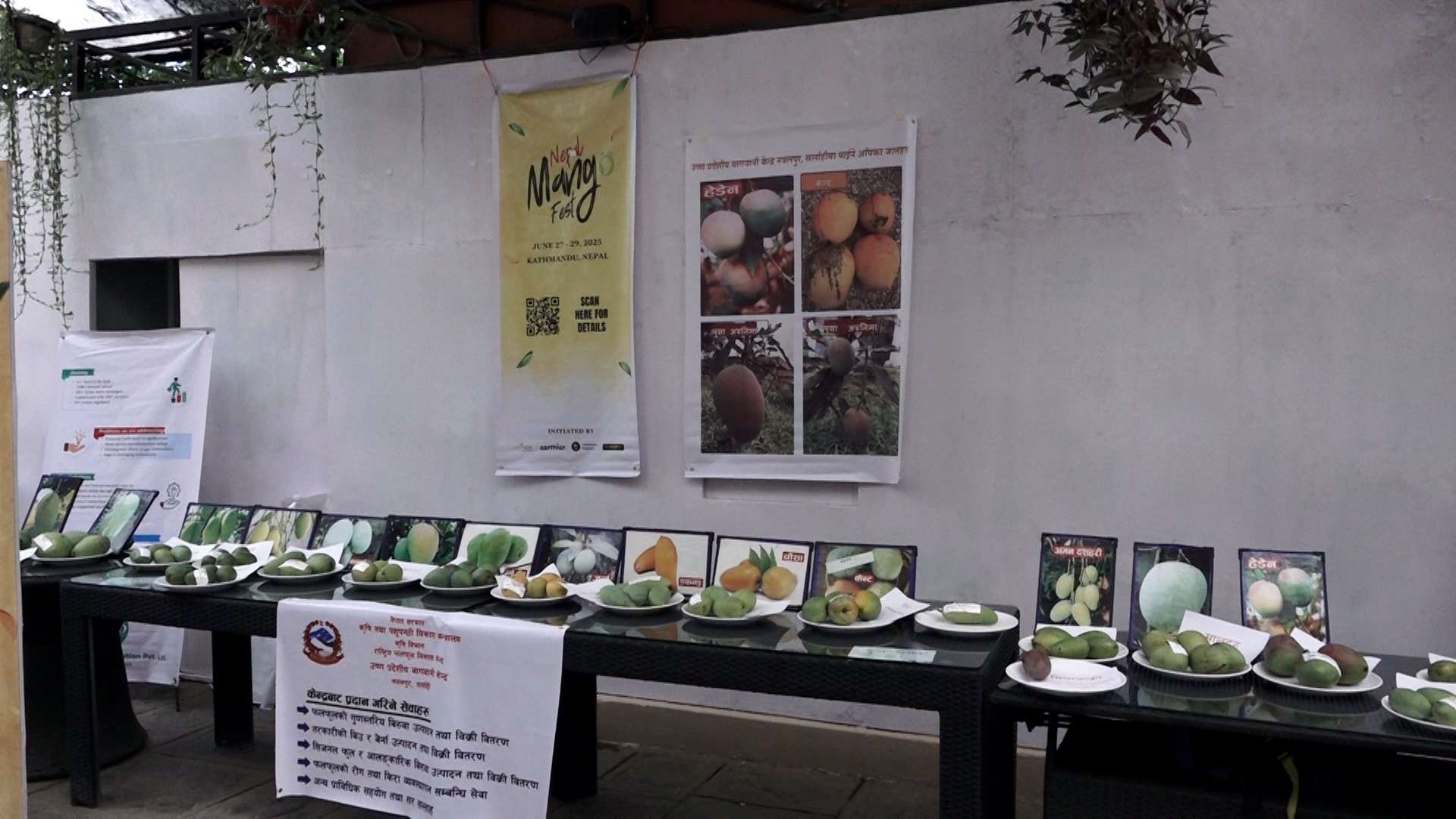 भारतीय आँपका कारण नेपाली व्यवसायीलाई चिन्ता, स्वदेशी उत्पादनको प्रवद्र्धन गर्न माग