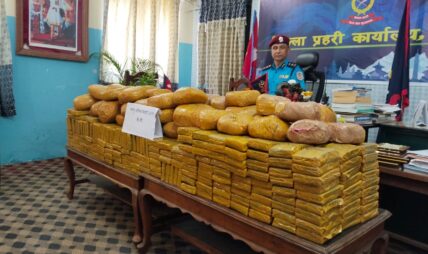 पर्सामा ३१९ केजी चरेशसहित ट्रक चालक पक्राउ