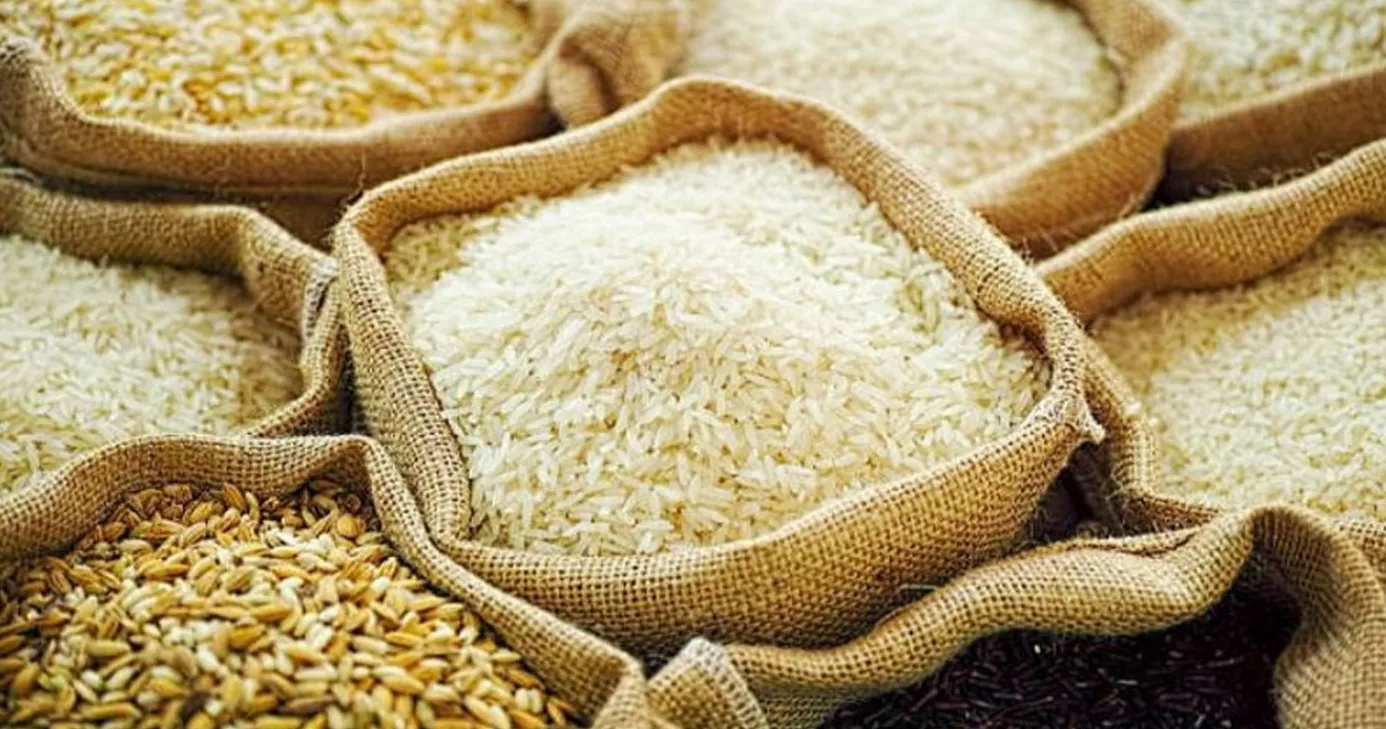 धान/चामल आयातमा ११ महिनामै करीब ३९ अर्व विदेशीयो, अझैं १० लाख मेट्रिक टन धान अपुग