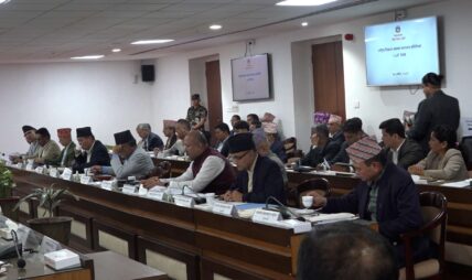 सिंहदरबारमा राष्ट्रिय विकास समस्या समाधान समितिको बैठक