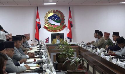 विकास आयोजनाहरुलाई दू्रत गतिमा अघि बढाउन प्रधानमन्त्रीको निर्देशन