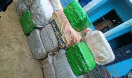 सिरहाको एक घरबाट ७१७ किलो गाँजा बरामद, घरधनी फरार