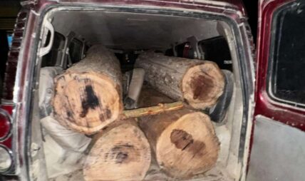 सालको गोलिया काठ सहित स्कारपियो गाडी गस्ती टोलीको नियन्त्रणमा