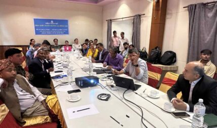 चोभार गल्छीलाई ऐतिहासिक सम्पदाको दृष्टिकोणबाट हेर्न विज्ञको सुझाव