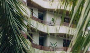 ७० करोडको बगैंचा रिसोर्ट : जसले एकल महिला र राउटेहरुलाई सक्षम बनाउँदैछ