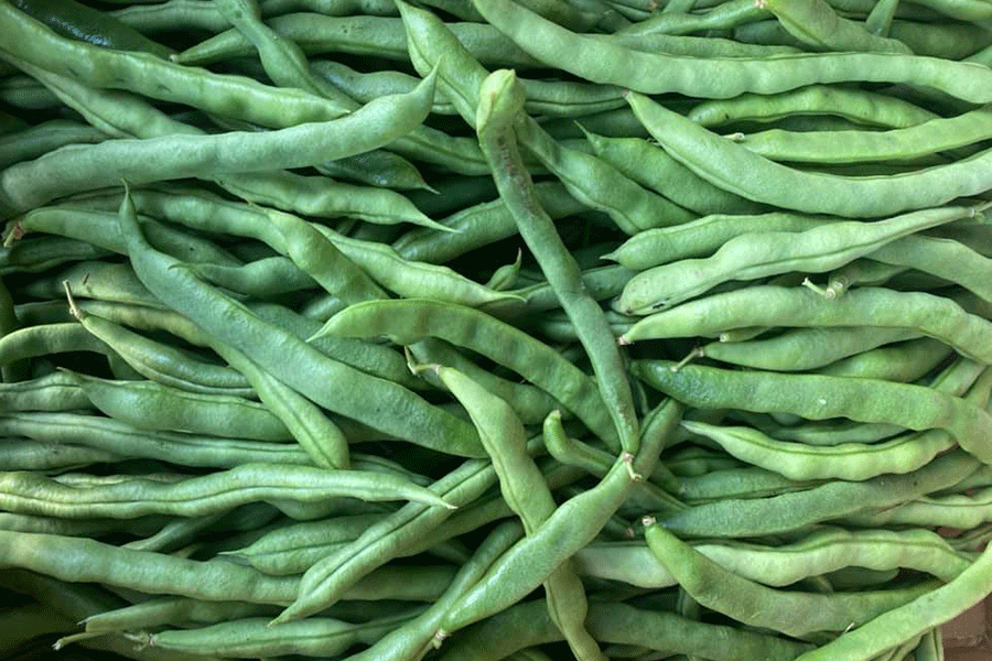 कालीमाटीमा बिक्रीको रायो सागपछि घिउ सिमीमा अत्यधिक विषादी, उपभोग अयोग्य घोषित कालीमाटीमा बिक्रीको रायो सागपछि घिउ सिमीमा अत्यधिक विषादी, उपभोग अयोग्य घोषित