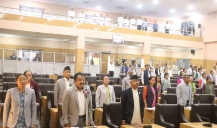 लिम्बू र मैथिलीलाई सरकारी भाषा बनाउने विधेयक अस्वीकृत