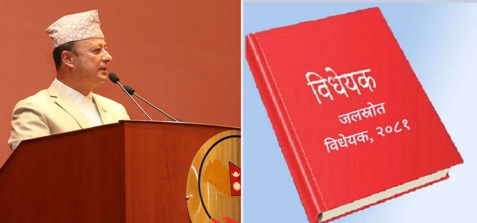 राष्ट्रिय सभाबाट जलस्रोत विधेयक पारित