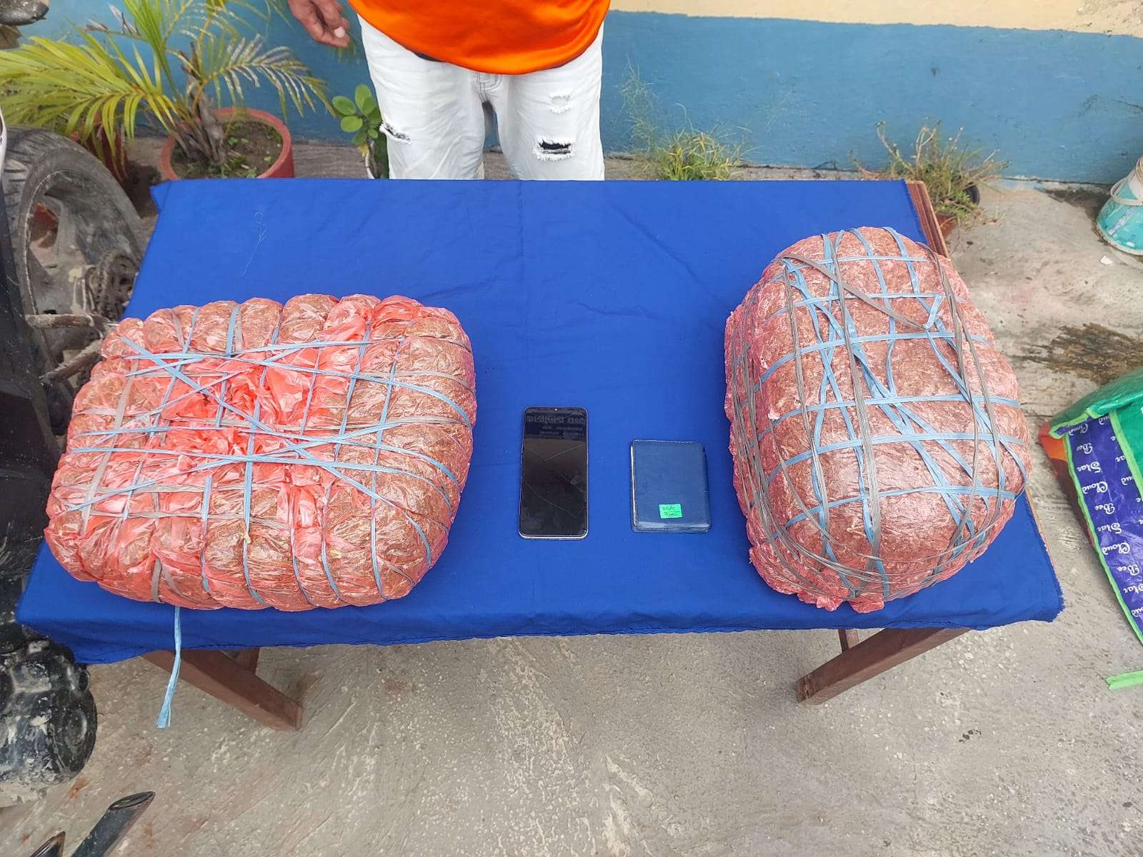 नौं किलो गाँजासहित थिङ पक्राउ