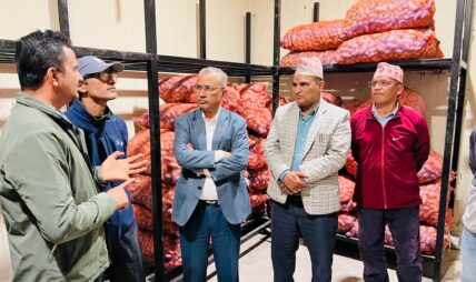 व्यासको चिस्यान केन्द्रमा बीउ आलु भण्डारण निःशुल्क