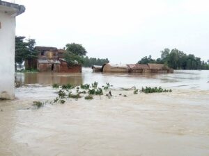 बाढी अपडेटः एघार घर बगायो, सात घरमा क्षति