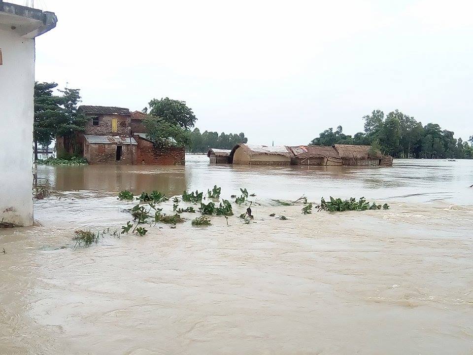 बाढी अपडेटः एघार घर बगायो, सात घरमा क्षति