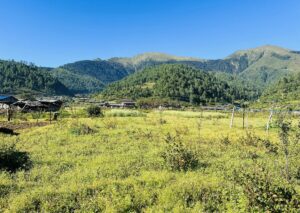 बागलुङ र पर्वतमा चक्लाबन्दी गरेर व्यावसायिक फलफूलखेती