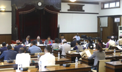 भूमिसम्बन्धी केही नेपाल ऐनलाई संशोधन गर्न बनेको विधेयक, २०८२ सम्बन्धी प्रतिवेदन पारित