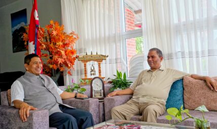 उपलब्धि रक्षाका लागि परिवर्तनकारी शक्तिको भूमिका सम्बन्धमा नेता श्रेष्ठ र यादवबीच छलफल