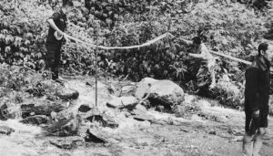 पाँचदिनदेखि हराएका दाजु–बहिनी खोलामा मृत भेटिए