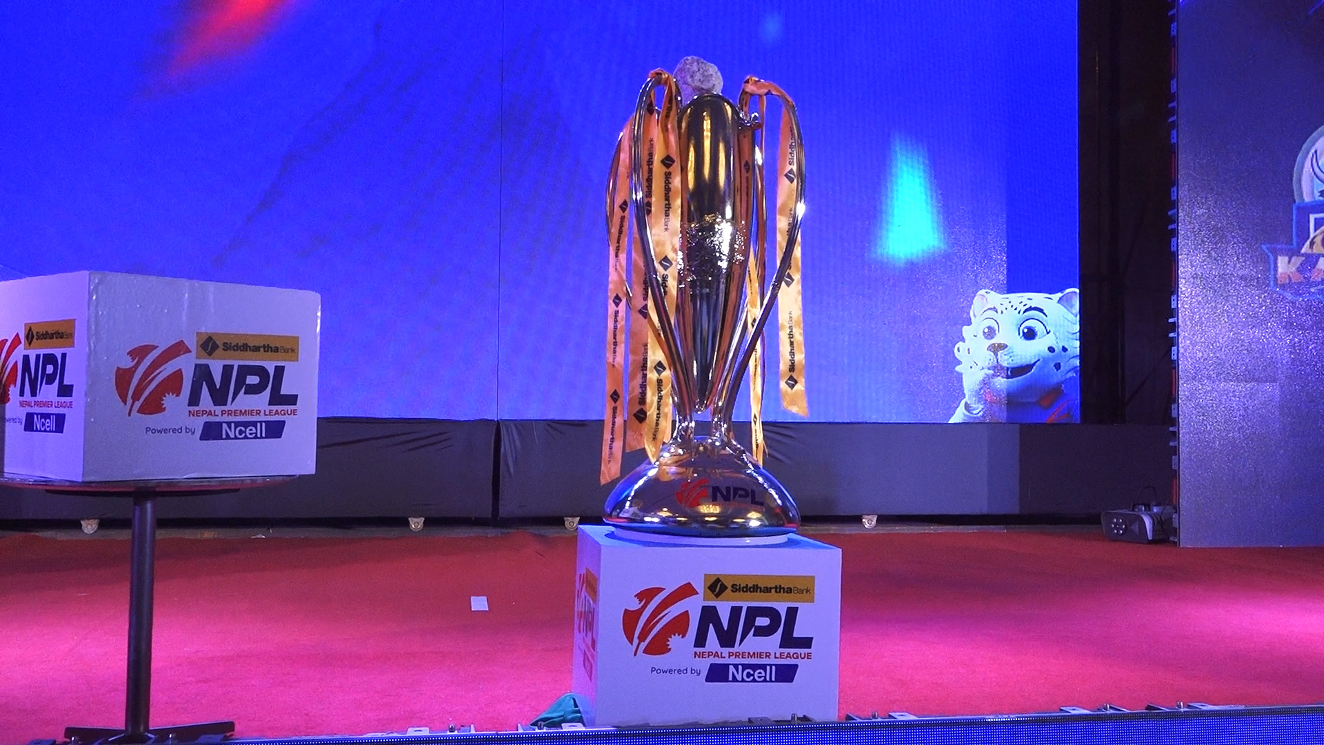 एनपीएलको अक्सनबाट आठ टोलीले छाने ३७ खेलाडी, काठमाडौं गोर्खाजको अक्सन पूरा