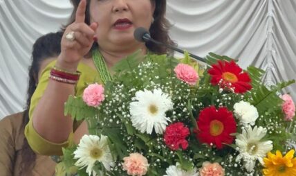 युवाहरूको ऊर्जा र क्षमतालाई देश विकासमा लगाऔँ : परराष्ट्रमन्त्री