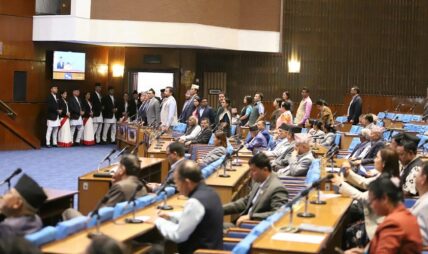 बुधबार पनि आफ्ना कुरा राखेर बाहिरिए राप्रपा र रास्वपा सांसद