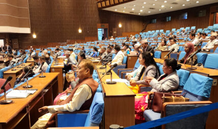 नागरिकतासम्बन्धी विधेयकमाथि विचार गरियोस् भन्ने प्रस्ताव स्वीकृत