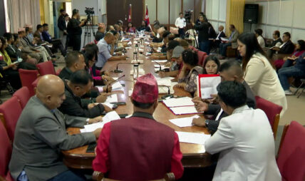 महानगरको कार्यपालिका बैठकमा उठ्यो सिंहदरबारमा दमकल नपुगेको विषय