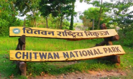 नवलपुरबाट राष्ट्रिय निकुञ्जमा जिप सफारीको अनुमति नवलपुरबाट राष्ट्रिय निकुञ्जमा जिप सफारीको अनुमति