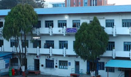 ट्राफिक प्रहरीको अनलाइन प्रणालीमा समस्या