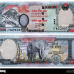 अनुचित ढंगले सवारी प्रयोग गर्ने उम्मेदवारलाई २५ हजारसम्म जरिवाना हुने