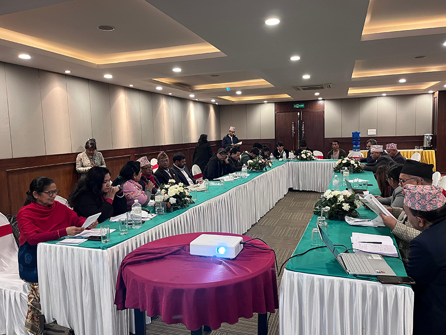 दलहरूको घोषणापत्रमा खोजिंदै विदेशबाट मतदान