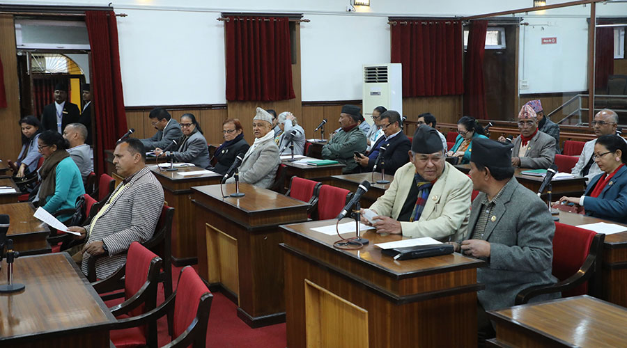 राष्ट्रिय सभालाई बिजनेसको कमी