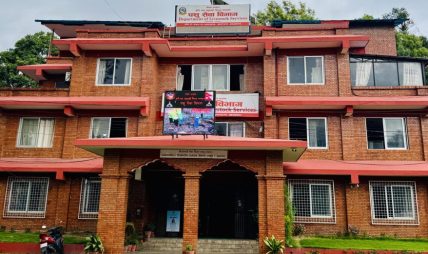 पशु सेवा विभागले भन्यो- १ साउनयता बर्डफ्लु संक्रमण देखिएको छैन