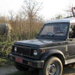 चितवन राष्ट्रिय निकुञ्जमा जङ्गल सफारी बन्द, बर्खापछि मात्रै सुरु हुने