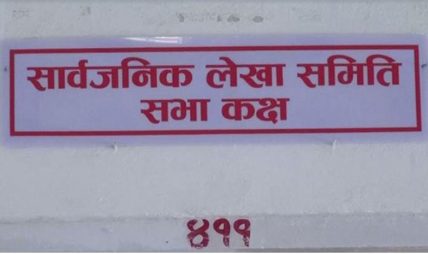 संसद्को सार्वजनिक लेखा समितिमा १७ वटा उजुरी
