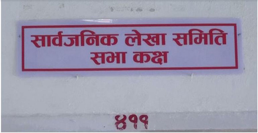 संसद्को सार्वजनिक लेखा समितिमा १७ वटा उजुरी